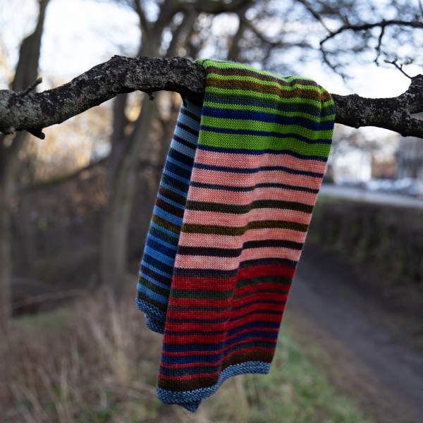 striped blanket hanging over a branch